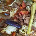 Cooksnap dari Silvi Atgi Septina untuk resep Tongseng Iga Sapi