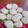 El cooksnap de Lara Lis Schenone Landini cuando hizo Galletitas de Manzana.