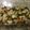 El cooksnap de avarayab cuando hizo Pechugas de pollo con vegetales al horno.