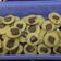 Cooksnap dari Juni Juanita untuk resep Kue cubit anti gagal (tanpa mixer)