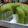 Cooksnap dari Ross Asien untuk resep Puding Lumut Pandan Kelapa Muda