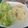 Cooksnap de Lo Reine sur la recette Truffade auvergnate