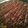 Neffie's cooksnap of when they made Reese's Style Brownies.