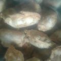 El cooksnap de Róó Cáámpóós cuando hizo Empanadas de pollo cortada a cuchillo.