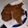Torey Palmer's cooksnap of when they made Southern Deep Fried Pork Chops.