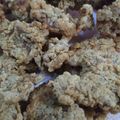 Cooksnap dari wahyu meinarti untuk resep KOLOBAK ala LC (daging babi asam manis)