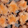 Cooksnap dari niken untuk resep Dimsum siomay ayam