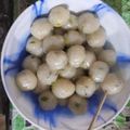Cooksnap dari kamsiyati nayaramadhani untuk resep Cilok Enak Empuk | Bisa jadi ide jualan