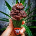 Cooksnap dari Nay's Kitchen untuk resep Vegan Biscoff Tempe Gelato