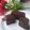 Cooksnap dari Fenty Soedjoed untuk resep Dodol Duren Wijen #Keto