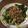 Cooksnap dari Anna untuk resep Sayur Pakcoy