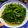 Chan Chi 的 沙茶炒空心菜 cooksnap