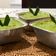 Cooksnap dari Mery's untuk resep Talam Ketan Srikaya