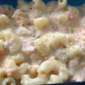 Cooksnap dari Jessty Michelle untuk resep Macaroni Bellamy's pasta Creamy Salmon MPASI 1 th