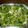 El cooksnap de Lady Marmalade cuando hizo Ensalada de espinaca.