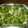 El cooksnap de Lady Marmalade cuando hizo Ensalada de espinaca.