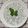 Varsha Ingole Bele's cooksnap of when they made तुळशीच्या बियांची खीर (tulsi seeds khir recipe in marathi).