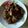 Cooksnap dari Desi Fitri untuk resep Gudeg Nangka (simple)