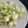 El cooksnap de Michelle Lozano cuando hizo Ensalada waldorf navideña.