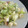 El cooksnap de Michelle Lozano cuando hizo Ensalada waldorf navideña.