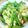 綿羊 的 【厚生廚房】四季豆炒鹹蛋 cooksnap