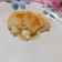 El cooksnap de tamara beleen cuando hizo Arepas rellenas de queso.