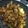 Cooksnap dari Ratih Febrianty untuk resep Cecek Tempe Bumbu Kecap