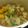 Cooksnap dari dian Purnamasari untuk resep Sop Balungan Sapi