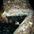 El cooksnap de Gaby Kormendy cuando hizo Pan de carne relleno rapidísimo.