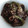 Cooksnap dari Feny Erie Emawati untuk resep Beef Teriyaki