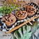 Cooksnap dari Priska Koes untuk resep Cup cake milo