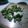 Morgan!'s cooksnap of when they made Oven Roasted Broccoli.