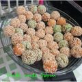 Cooksnap dari Nina Karmila untuk resep Onde-onde ala debm