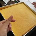 Cooksnap dari Rebecca Sintiya untuk resep Bolu gulung resep ekonomis