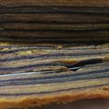 Cooksnap dari Lee Tan untuk resep Lapis legit coklat (resep yongki gunawan)