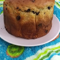 El cooksnap de ladyzeta cuando hizo Panettone con pepitas de chocolate en Tm5.