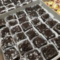 Cooksnap dari Trixie Gayatri untuk resep Tarcis #PR_AdaKejunya