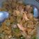 Cooksnap dari Peri Gunung untuk resep Kwetiau Goreng Pedas