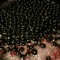 El cooksnap de María Eugenia Cordova Flores cuando hizo Salsa de arándanos para pavo.