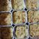Cooksnap dari Latihan Nurul Aziza untuk resep Super Cheesy Macaroni Schotel Panggang