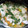 El cooksnap de Tha Mii cuando hizo Filet de merluza saludable.