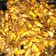 Cooksnap dari herlina28 untuk resep Orek tempe bumbu halus cabe ijo