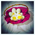 Cooksnap dari Dapoer sriwidi untuk resep Telur Asin Homemade