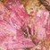 lori.careyfrisbie's cooksnap of when they made Corned beef and cabbage.