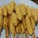 Cooksnap dari FaFa Ifa untuk resep Sempol Ayam Wortel #Dandelion