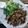 Cooksnap dari Dapur Annisa untuk resep Suwir tongkol sambel ijo