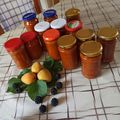 Magyarné Nyírő Kati Cooksnap-ja, amikor elkészítette a(z) Hagyományos sárgabarack lekvár főzés receptet.