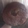 El cooksnap de Beluu Claisse cuando hizo Brownie sin azúcar agregado ni edulcorante ni lácteos ni harina. Brownie saludable, rápido y fácil.
