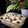 Cooksnap dari Raja Nurul Huda untuk resep Puding Roti Kukus #MenuSehatAnak