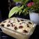 Cooksnap dari Raja Nurul Huda untuk resep Puding Roti Kukus #MenuSehatAnak